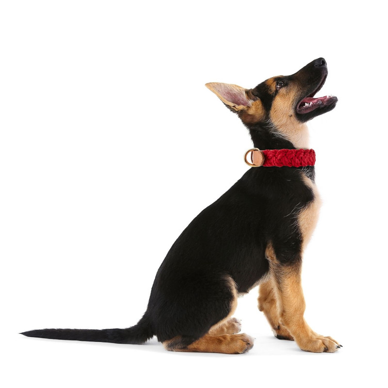 SKÓRZANA OBROŻA DLA PSA PETSOME PLECIONA CZERWONA 12P03S