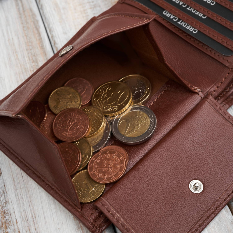 Poziomy portfel męski smukły w kolorze koniakowym Paolo Peruzzi AL-17-CG